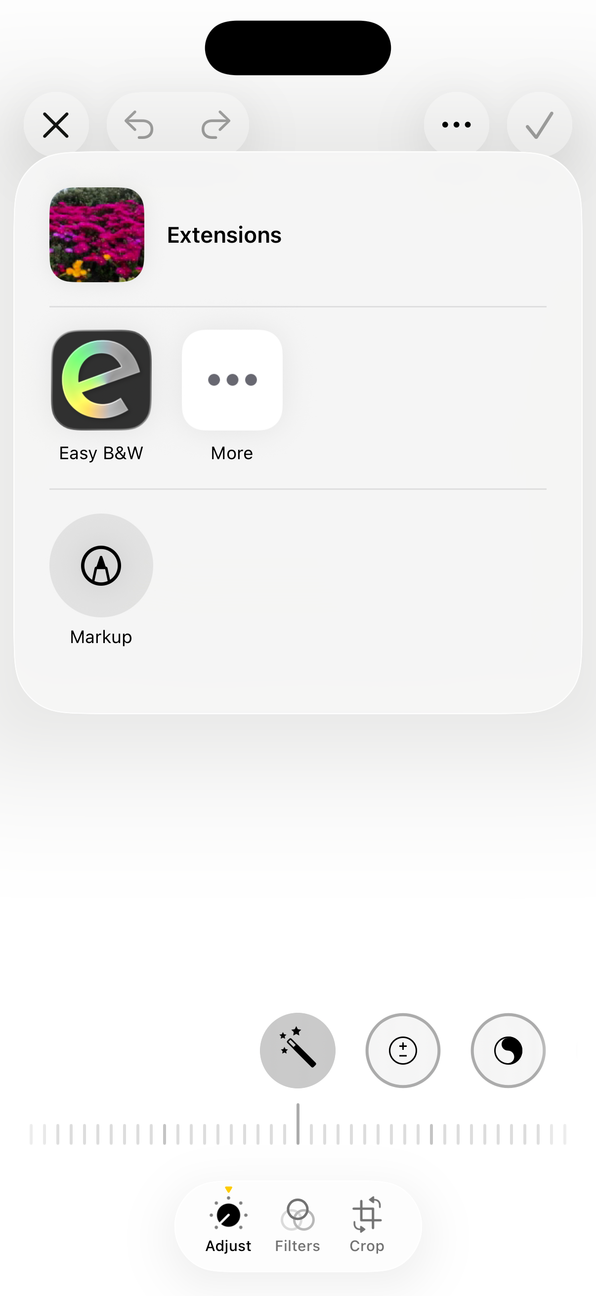 extensions menu
